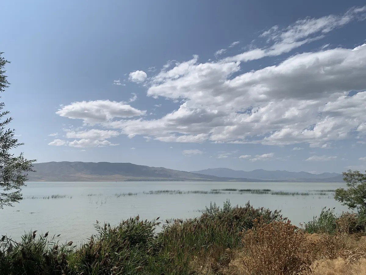 犹他湖、湖岸植被、云层与远山全景