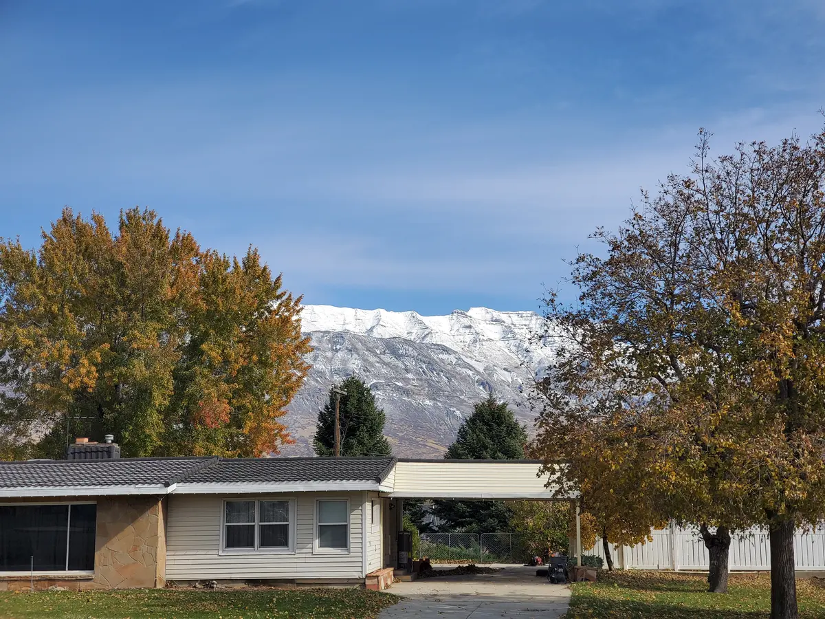 秋季树木、住宅与雪山构成的社区环境