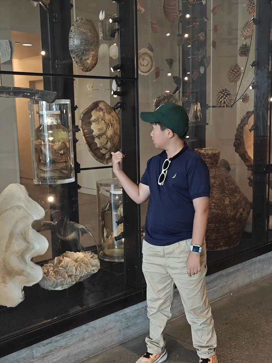 学生在自然历史博物馆观察动物标本与展陈