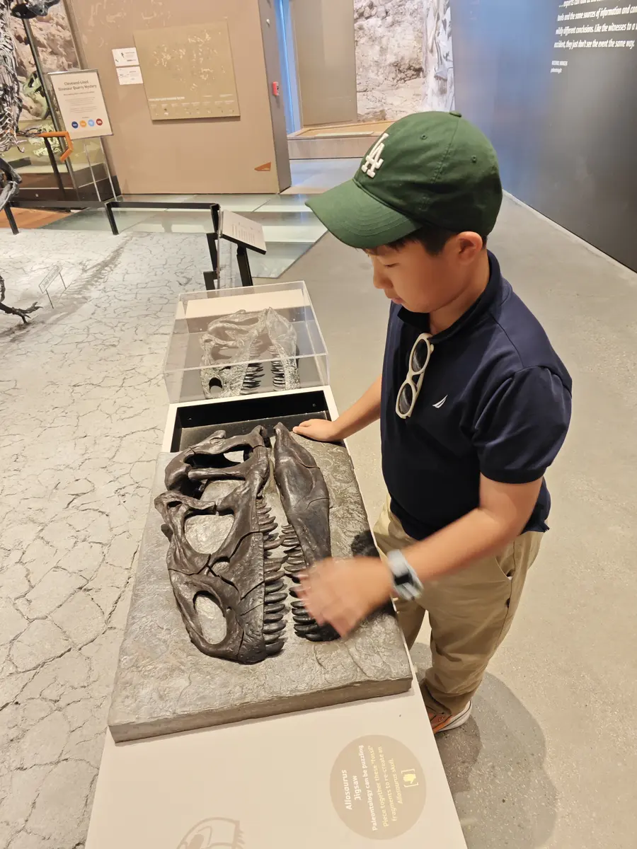 学生在自然历史博物馆触摸大型化石互动展品