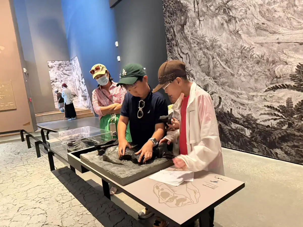 学生在美国自然历史博物馆参与互动活动
