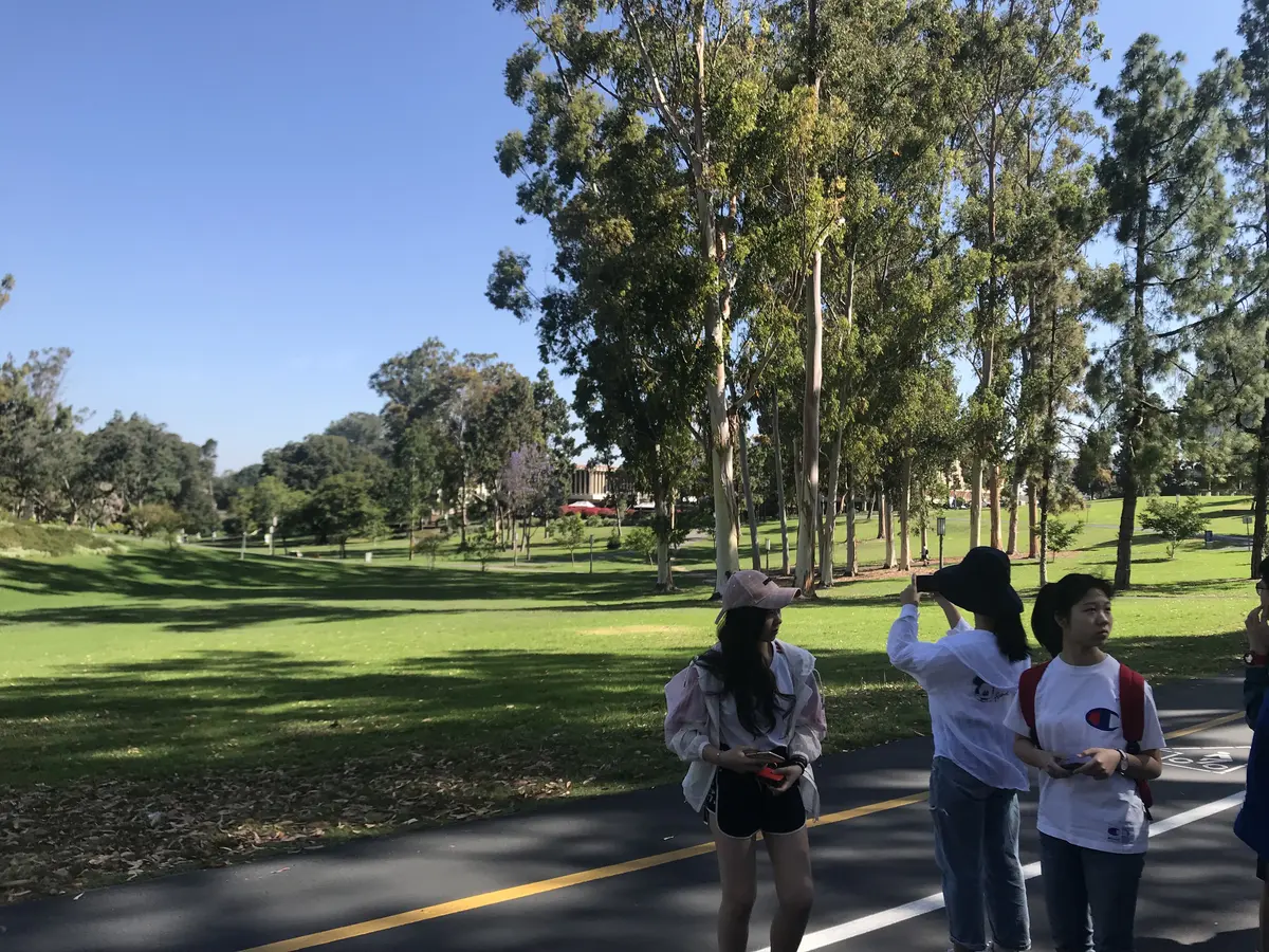 中国学生团队在美国大学校园草坪参加导览