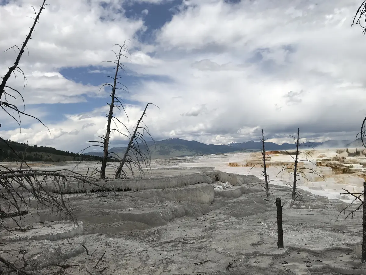 美国国家公园地热台地、枯木与云层全景
