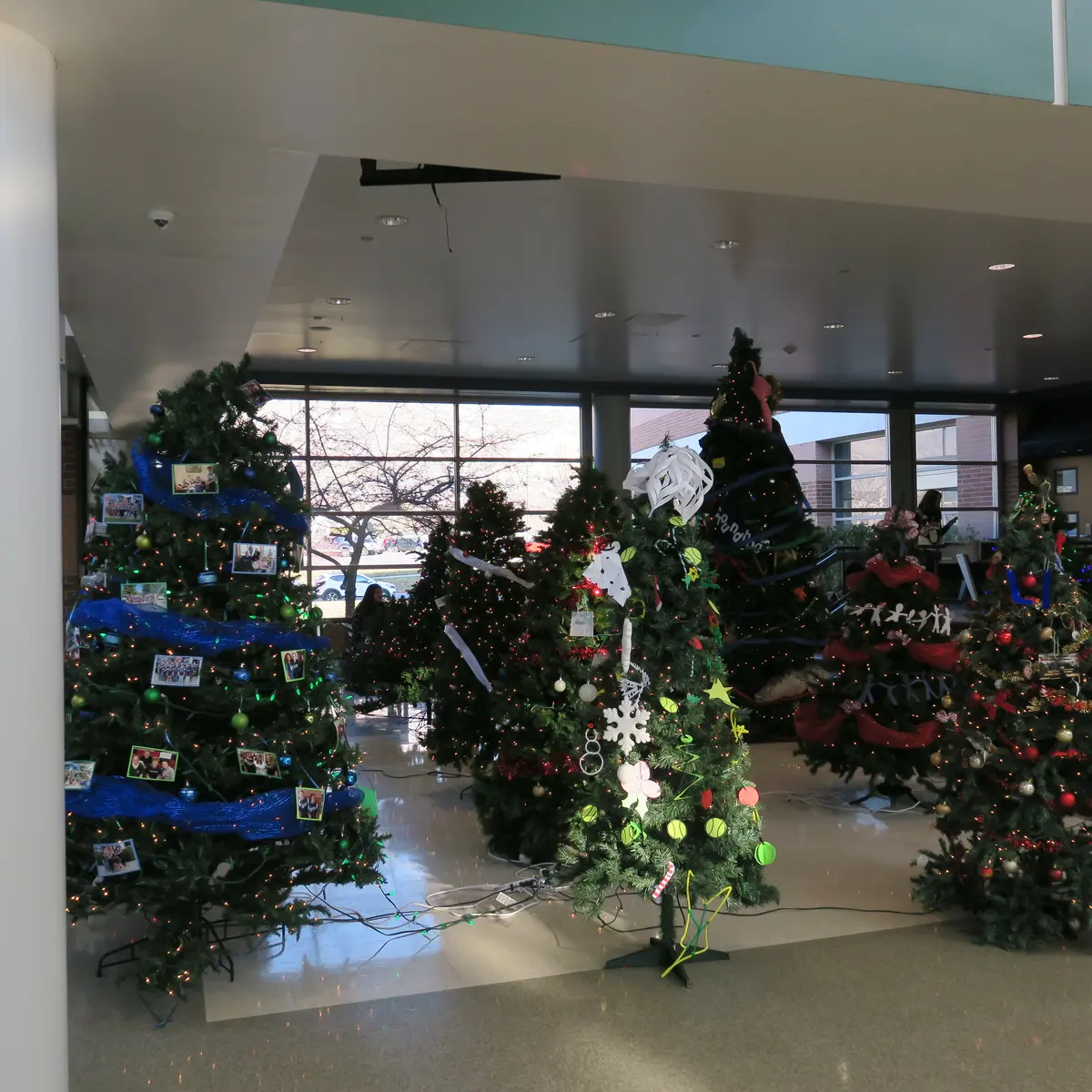 Timpanogos High School 校内节日树与学生社团展示