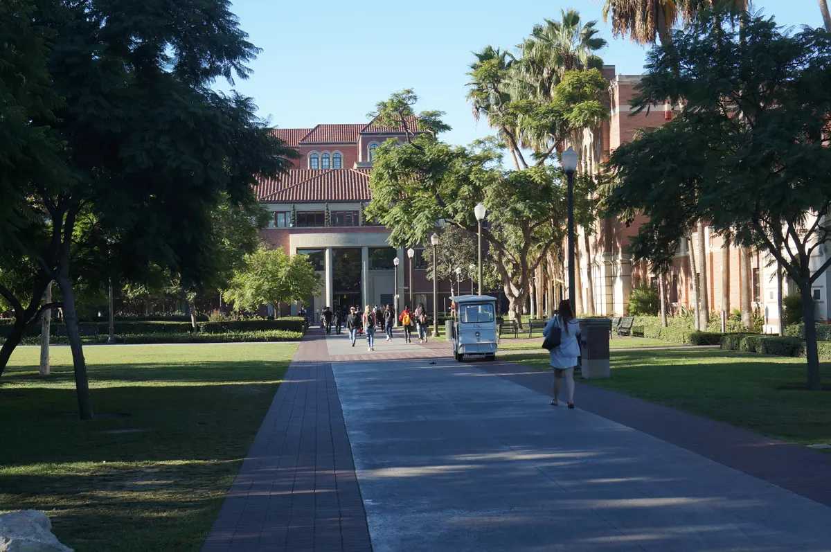 美国大学或学校校园林荫道路与建筑