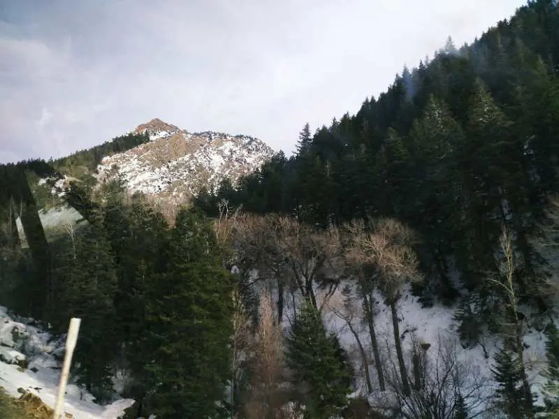 美国雪山与冬季森林景观