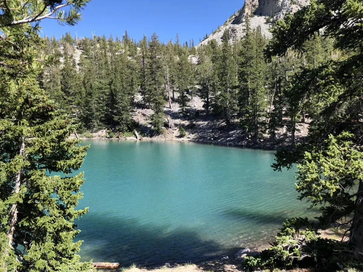 美国高山森林环绕的碧蓝湖泊